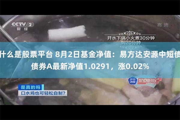 什么是股票平台 8月2日基金净值：易方达安源中短债债券A最新净值1.0291，涨0.02%