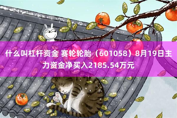 什么叫杠杆资金 赛轮轮胎（601058）8月19日主力资金净买入2185.54万元