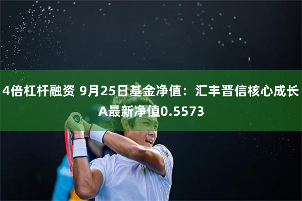 4倍杠杆融资 9月25日基金净值：汇丰晋信核心成长A最新净值0.5573