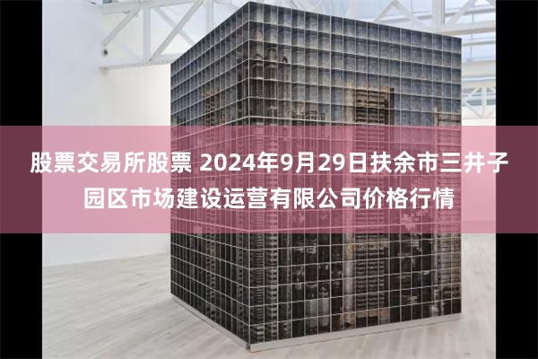 股票交易所股票 2024年9月29日扶余市三井子园区市场建设运营有限公司价格行情