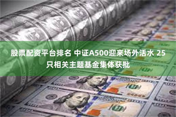 股票配资平台排名 中证A500迎来场外活水 25只相关主题基金集体获批