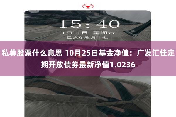 私募股票什么意思 10月25日基金净值：广发汇佳定期开放债券最新净值1.0236