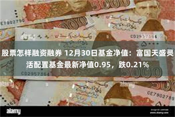 股票怎样融资融券 12月30日基金净值：富国天盛灵活配置基金最新净值0.95，跌0.21%