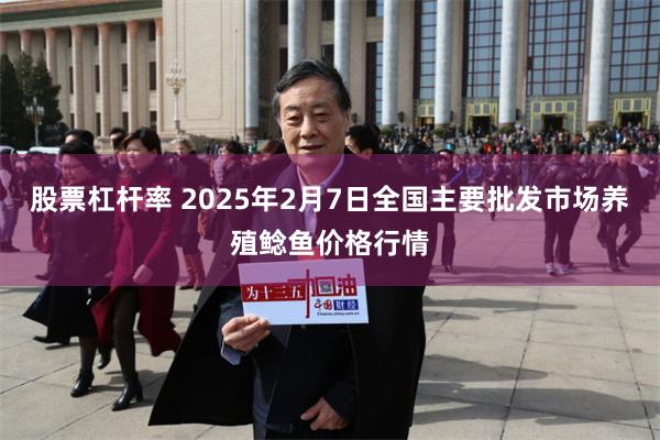 股票杠杆率 2025年2月7日全国主要批发市场养殖鲶鱼价格行情