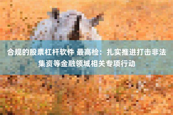 合规的股票杠杆软件 最高检：扎实推进打击非法集资等金融领域相关专项行动