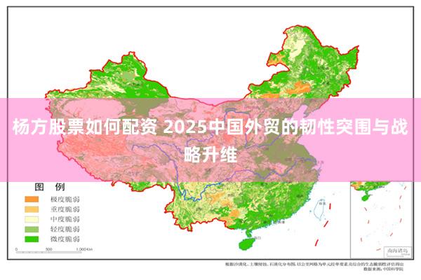 杨方股票如何配资 2025中国外贸的韧性突围与战略升维