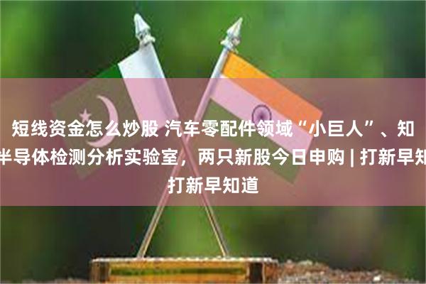 短线资金怎么炒股 汽车零配件领域“小巨人”、知名半导体检测分析实验室，两只新股今日申购 | 打新早知道